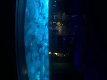 すみだ水族館に投稿された画像（2020/8/9）