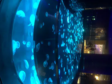 すみだ水族館に投稿された画像（2020/8/9）