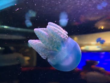 株式会社Gに投稿された画像（2020/8/9）