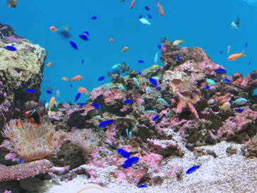 仙台うみの杜水族館に投稿された画像（2020/8/9）