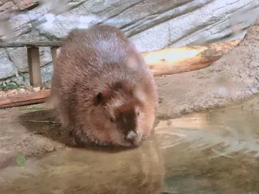仙台うみの杜水族館に投稿された画像（2020/8/9）