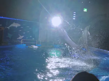 仙台うみの杜水族館に投稿された画像（2020/8/9）