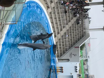 仙台うみの杜水族館に投稿された画像（2020/8/9）