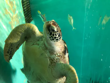 仙台うみの杜水族館に投稿された画像（2020/8/9）