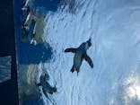 サンシャイン水族館に投稿された画像（2020/8/9）