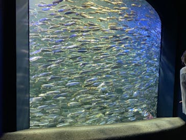 サンシャイン水族館に投稿された画像（2020/8/9）