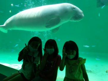 鳥羽水族館に投稿された画像（2020/8/9）