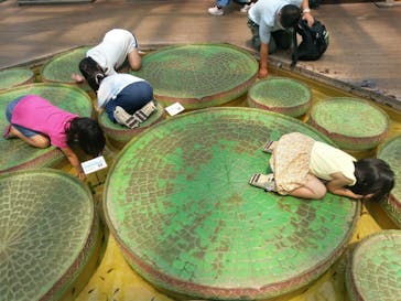 鳥羽水族館に投稿された画像（2020/8/9）