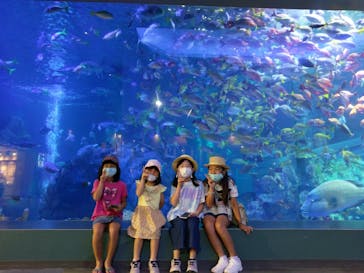 鳥羽水族館に投稿された画像（2020/8/9）