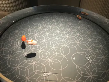 すみだ水族館に投稿された画像（2020/8/9）