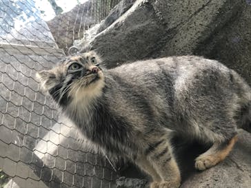 神戸どうぶつ王国に投稿された画像（2020/8/9）