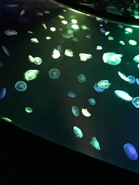 すみだ水族館に投稿された画像（2020/8/9）
