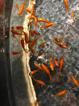 すみだ水族館に投稿された画像（2020/8/9）