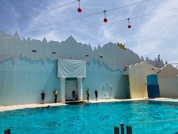 株式会社Gに投稿された画像（2020/8/9）