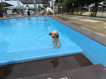 わんダフルネイチャーヴィレッジに投稿された画像（2020/8/9）