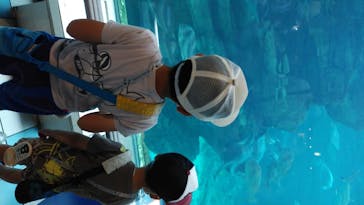 株式会社Gに投稿された画像（2020/8/9）