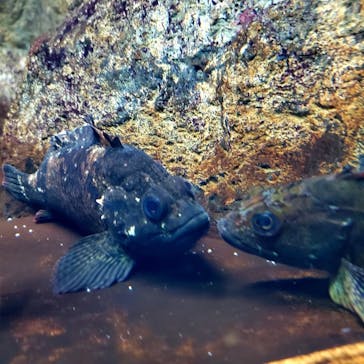 株式会社Gに投稿された画像（2020/8/9）