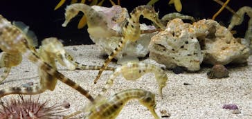 株式会社Gに投稿された画像（2020/8/9）