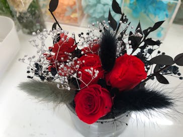 ずこうしつ〜sugamo〜に投稿された画像（2020/8/9）