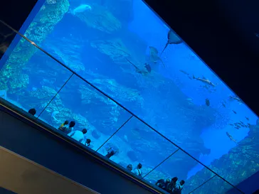 仙台うみの杜水族館に投稿された画像（2020/8/9）