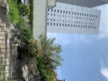 サンシャイン水族館に投稿された画像（2020/8/9）