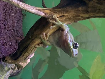 サンシャイン水族館に投稿された画像（2020/8/9）