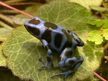サンシャイン水族館に投稿された画像（2020/8/9）