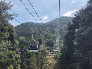 伊豆パノラマパークに投稿された画像（2020/8/9）