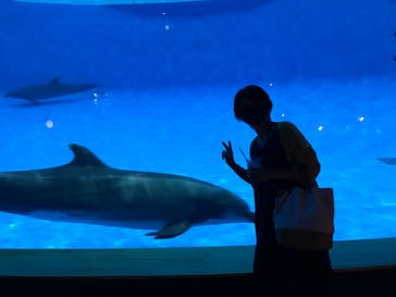 アクアワールド茨城県大洗水族館に投稿された画像（2020/8/9）