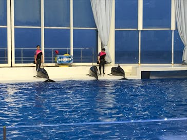 アクアワールド茨城県大洗水族館に投稿された画像（2020/8/9）