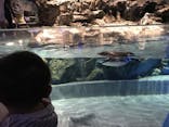 すみだ水族館に投稿された画像（2020/8/9）