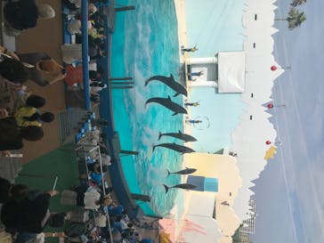 株式会社Gに投稿された画像（2020/8/9）