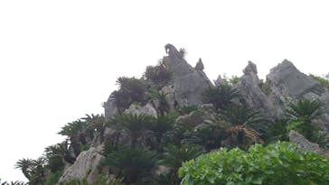 アスムイハイクスに投稿された画像（2020/8/9）