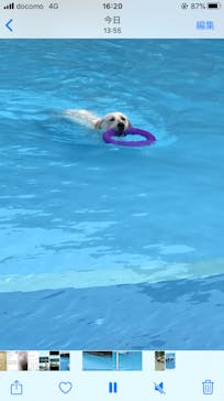 わんダフルネイチャーヴィレッジに投稿された画像（2020/8/9）