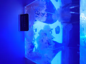 すみだ水族館に投稿された画像（2020/8/9）