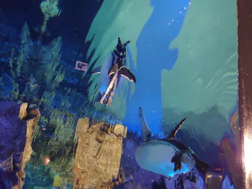 すみだ水族館に投稿された画像（2020/8/9）