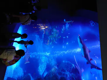 すみだ水族館に投稿された画像（2020/8/9）