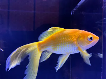 すみだ水族館に投稿された画像（2020/8/9）