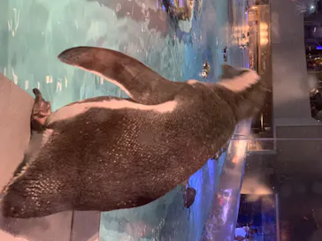 すみだ水族館に投稿された画像（2020/8/9）