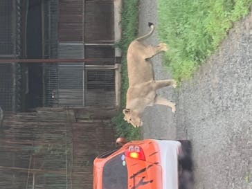 東北サファリパークに投稿された画像（2020/8/9）
