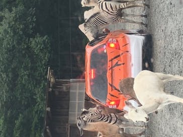 東北サファリパークに投稿された画像（2020/8/9）