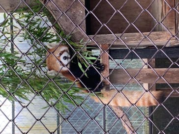 東北サファリパークに投稿された画像（2020/8/9）