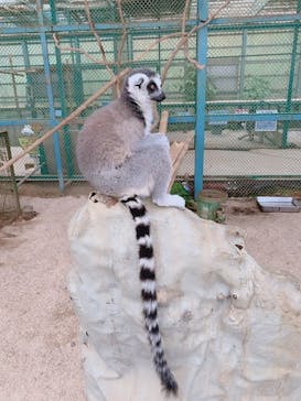 東北サファリパークに投稿された画像（2020/8/9）