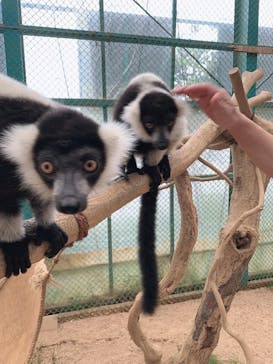 東北サファリパークに投稿された画像（2020/8/9）