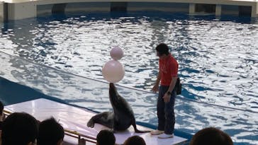 アクアワールド茨城県大洗水族館に投稿された画像（2020/8/9）