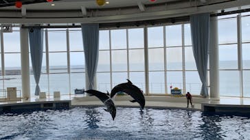 アクアワールド茨城県大洗水族館に投稿された画像（2020/8/9）