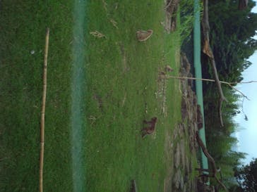 群馬サファリパークに投稿された画像（2020/8/9）