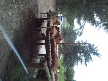 群馬サファリパークに投稿された画像（2020/8/9）