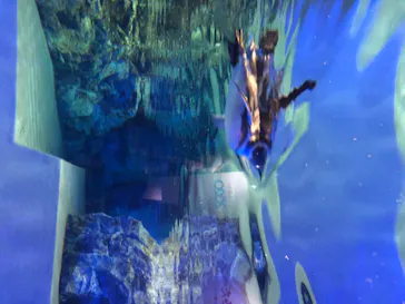 すみだ水族館に投稿された画像（2020/8/9）