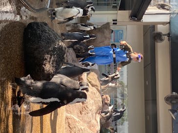 京都水族館に投稿された画像（2020/8/9）